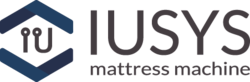 Логотип IUSYS