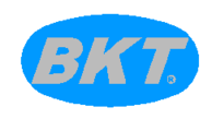 Logotipo Bkt Srl