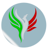 Logótipo Iron & Steel financial company srl