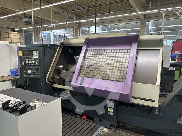 Angelini DG13