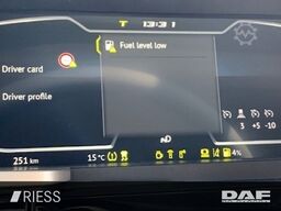DAF XF 480 FAN Multiwechsler 112-132 2x AHK