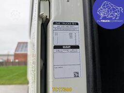 DAF XF 480