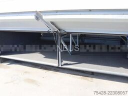 Van Hool ATLON T916