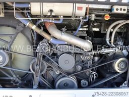 Van Hool ATLON T916