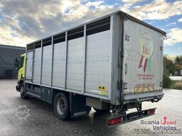 Scania P 320 LB4x2MLB Viehtransporter!