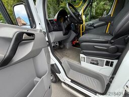 MERCEDES-BENZ Sprinter 313 Cdi Maxi Flex-i-Trans 9 Sitze+Lift