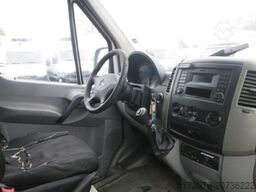 MERCEDES-BENZ Sprinter 313 *2xCarrier Tiefkühler*