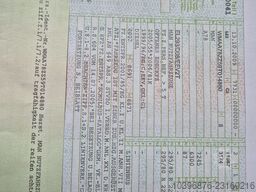 Dominex Dominex Dominex