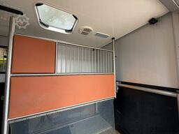 Renault Master 1-2 Pferde Autom. Hengsttrennung Euro 6
