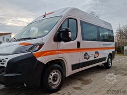 FIAT Ducato 9 Sitzer Mobility Airlineboden Rolli