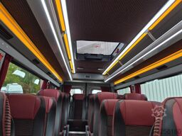 IVECO Daily C 65 Lagerfahrzeug Sprinter519 Sonderpreis