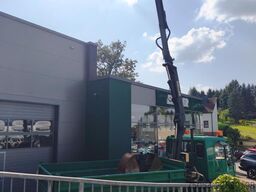 MAN LKW Kipper mit Kran und Holzgreifer 7731