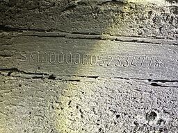 Schmitz Cargobull Tiefkühler Fleischhang