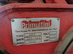Primultini Canali SGD