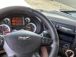 DAF XF 105.460 (GOOD CONDITION / BONNE ETAT / PROPRE)