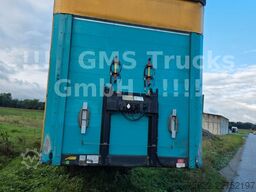 SCHWARZMÜLLER Mega / German / neutrale Plane