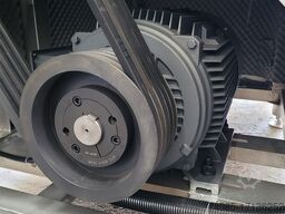 Sind 300mm Grinder for frozen block meat