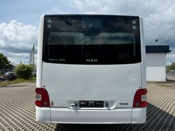MAN Lions City A78 LE Ü /Klima groß/Gurte/Niederflur