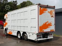 DAF XF460FT 6x2 BL EU6 3.Stock I.R.M.A/Ladelift/ACC
