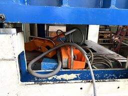 Hans Schoen SH/LF100