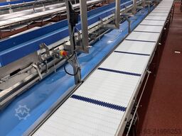 ENE CONVEYORS PACE MEAT BONING LINE