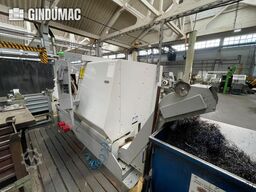 HAAS SL-30THE