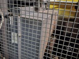 KAESER BS61 37kw 6,1m3/min 7,5bar. 