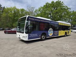 MERCEDES-BENZ Citaro O530 LE, Gurten,  Armlehnen, Gardinen