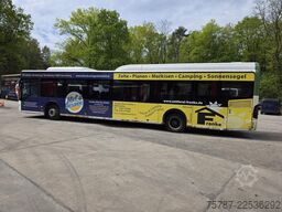 MERCEDES-BENZ Citaro O530 LE, Gurten,  Armlehnen, Gardinen