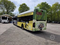 MERCEDES-BENZ Citaro O530 LE, Gurten,  Armlehnen, Gardinen