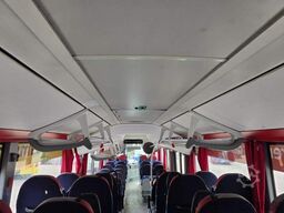 MERCEDES-BENZ Citaro O530 LE, Gurten,  Armlehnen, Gardinen
