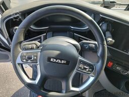 DAF XF 480 FAN SDG 7,45/7,82 Lenkachse A3