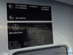 MERCEDES-BENZ Sprinter 311Cdi Max 9Sitze Schiebetür Lift Klima