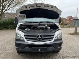 MERCEDES-BENZ Sprinter 313 BlueTEC 9Sitze+Rollstuhllift Klima