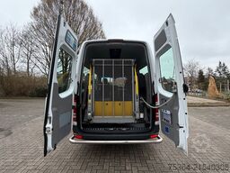 MERCEDES-BENZ Sprinter 313 BlueTEC 9Sitze+Rollstuhllift Klima