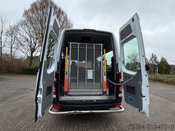 MERCEDES-BENZ Sprinter 313Cdi Flex-i-Trans 9Sitze + Lift Klima