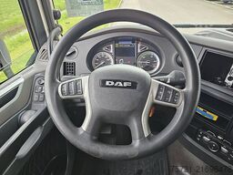 DAF XF 480 FAR
