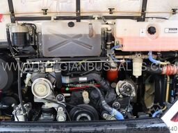 Iveco Evadys 13m / NEW / Rear door / 6x units / 3-poi...