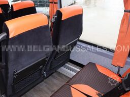 Iveco Evadys 13m / NEW / Rear door / 6x units / 3-poi...
