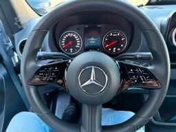 Mercedes-Benz Sprinter 317 CDI 9G 3665 LED Kamera SHZ