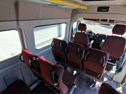 FIAT 1x Ducato 1x Opel Movano 18 SS in Stock