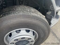 DAF LF 290 FA Day Cab