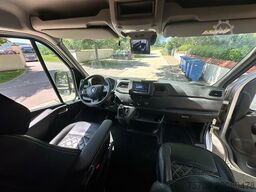 Renault Master 1-2 Pferde Hengsttrennung