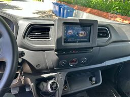 Renault Master 1-2 Pferde Hengsttrennung