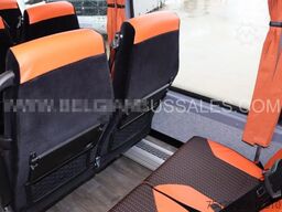Iveco Evadys 13m / NEW / Rear door / 6x units / 3-poi...