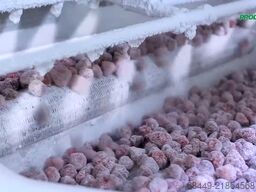 Air Products IQF Freezer Stikstofvriezer – Freshline