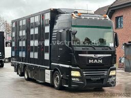 MAN TGX 26.500 4. Stock Menke-Janzen Viehtransporter
