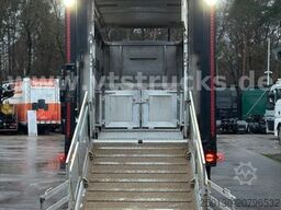 MAN TGX 26.500 4. Stock Menke-Janzen Viehtransporter