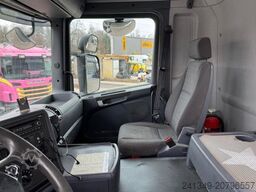 SCANIA G490 10x4 2S Moser