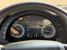 Iveco Sway 490
